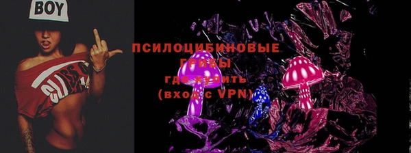эйфоретик Дмитриев