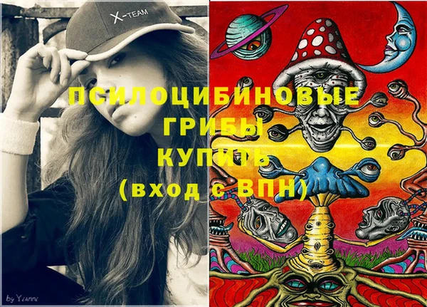 спайс Алексин