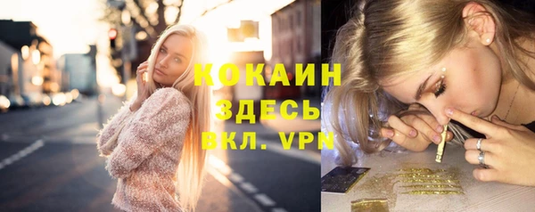 винт Алексеевка