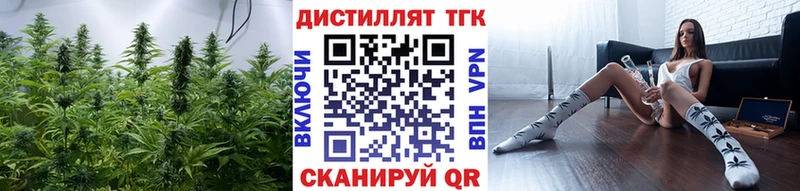 Дистиллят ТГК THC oil  где найти наркотики  kraken ТОР  Сургут 
