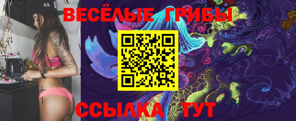 Галлюциногенные грибы мицелий  где найти   Сургут  Вход с VPN  Псилоцибиновые грибы Psilocybine cubensis 