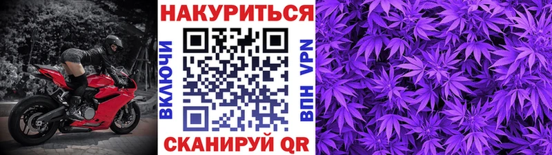 купить наркотики сайты Сургут darknet телеграм Бошки марихуана гибрид